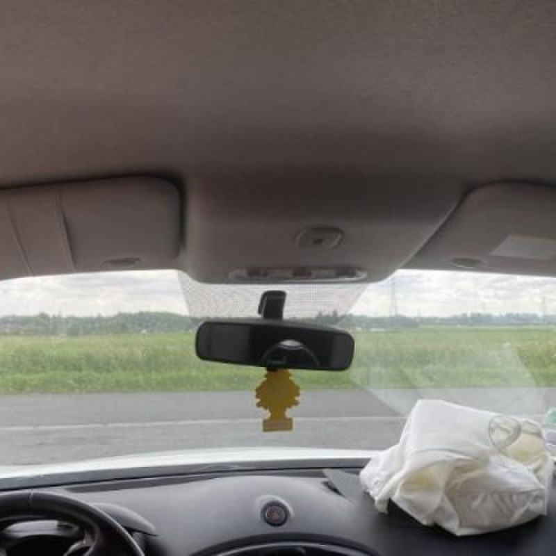 Pare soleil gauche NISSAN JUKE 1 Photo n°5