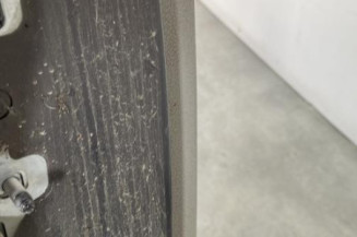 Porte arriere droit RENAULT MODUS