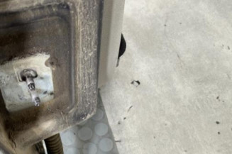 Porte arriere droit RENAULT MODUS