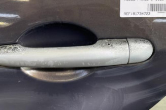 Porte arriere gauche RENAULT MODUS
