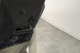 Porte arriere gauche RENAULT MODUS