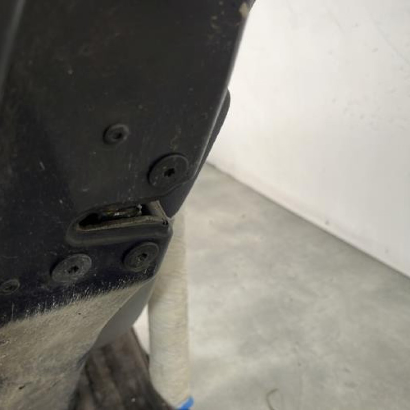 Porte arriere gauche RENAULT MODUS Photo n°3