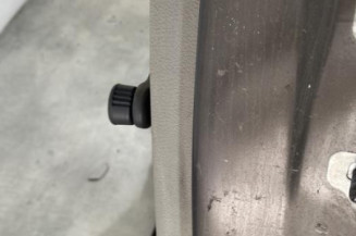 Porte arriere gauche RENAULT MODUS