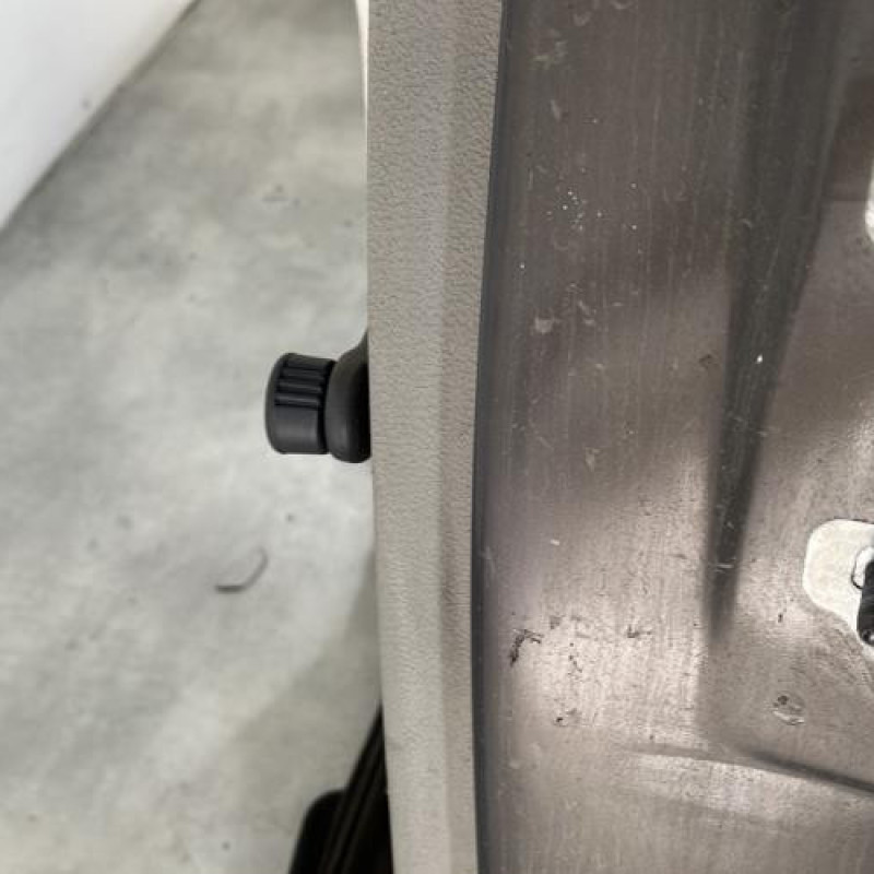 Porte arriere gauche RENAULT MODUS Photo n°4