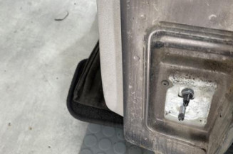 Porte arriere gauche RENAULT MODUS