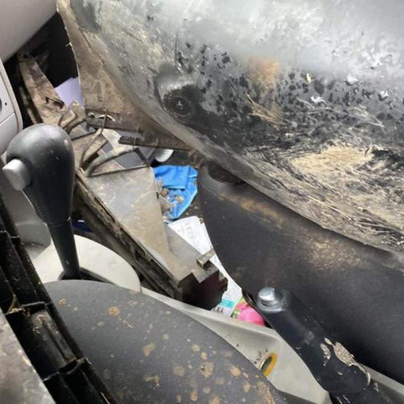 Porte arriere gauche RENAULT MODUS Photo n°7