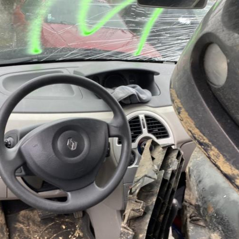 Porte arriere gauche RENAULT MODUS Photo n°8