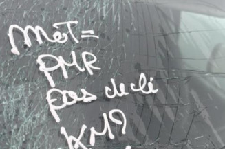 Porte arriere gauche RENAULT MODUS