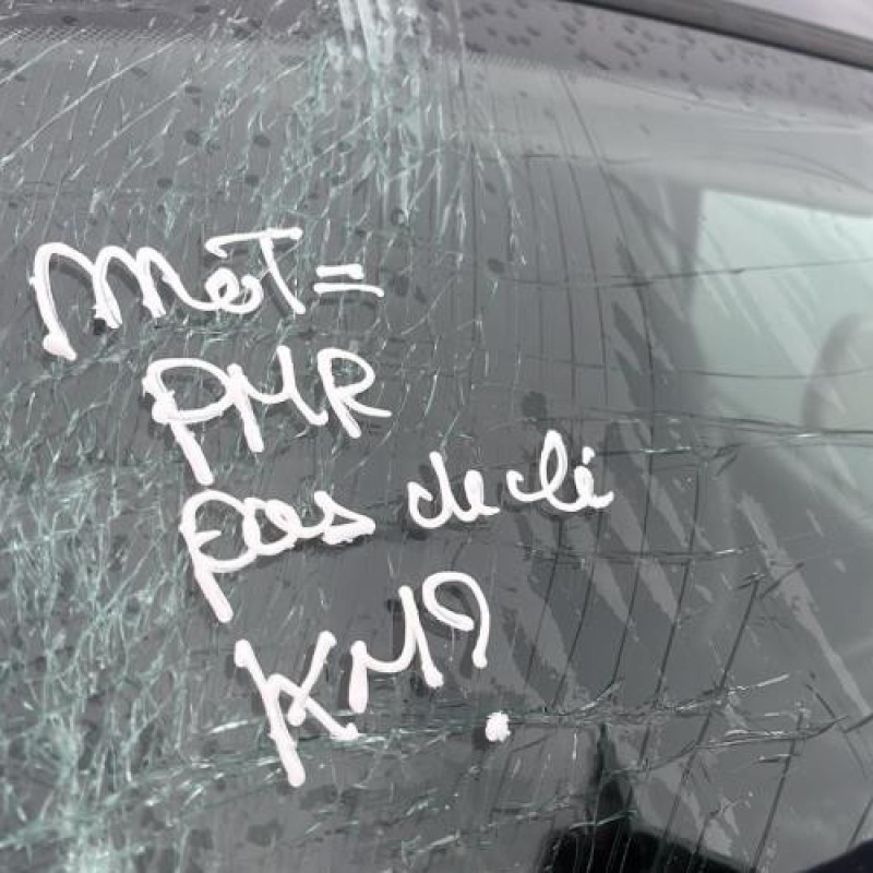 Porte arriere gauche RENAULT MODUS Photo n°9