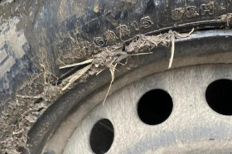 Porte arriere gauche RENAULT MODUS