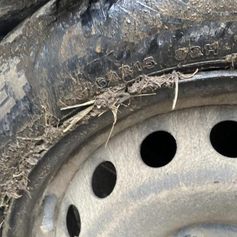 Porte arriere gauche RENAULT MODUS Photo n°12