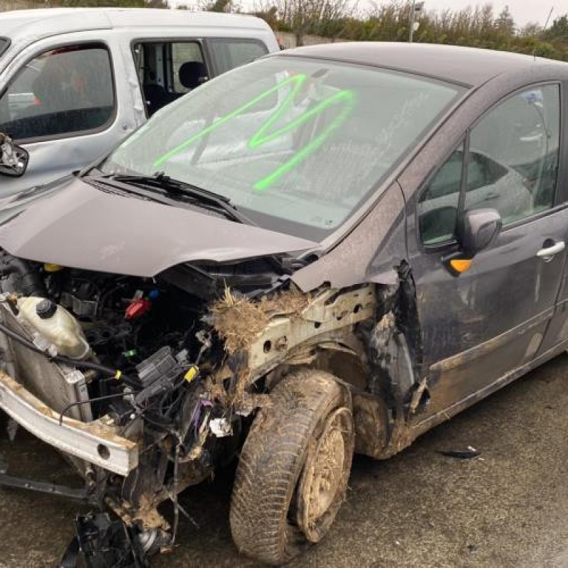 Porte arriere gauche RENAULT MODUS Photo n°16