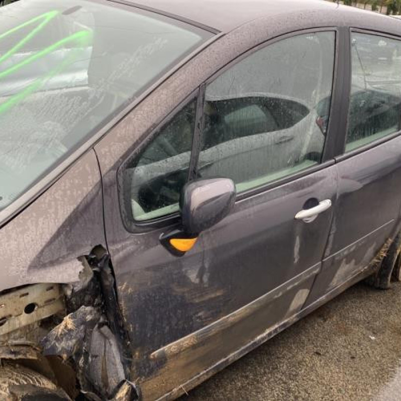 Porte arriere gauche RENAULT MODUS Photo n°17