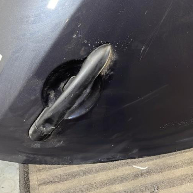 Porte arriere droit RENAULT MEGANE 3 Photo n°2