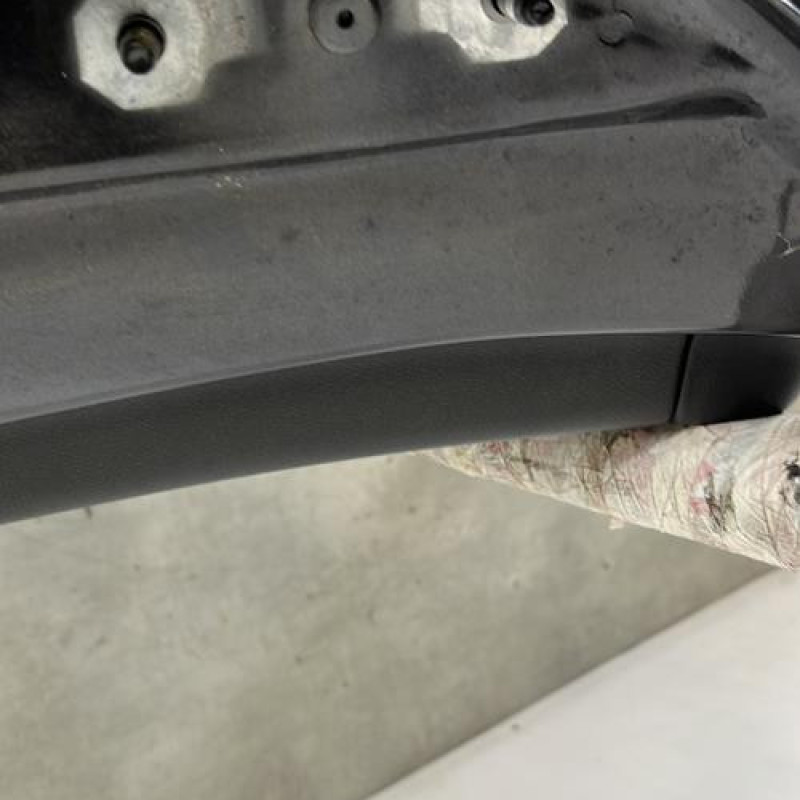 Porte arriere droit RENAULT MEGANE 3 Photo n°3