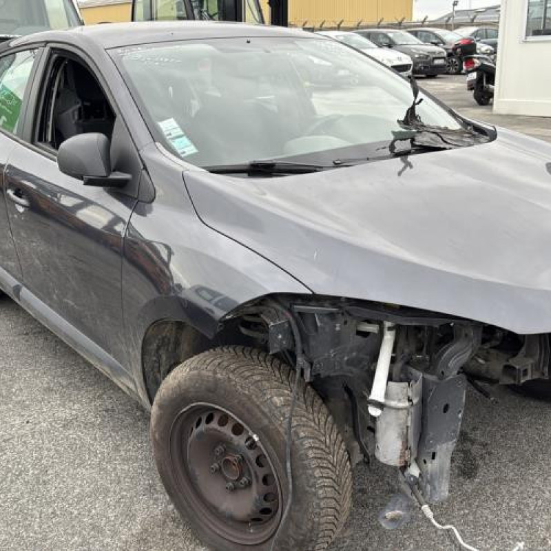 Porte arriere droit RENAULT MEGANE 3 Photo n°7