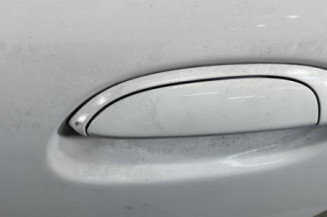 Porte arriere gauche RENAULT CLIO 2 CAMPUS