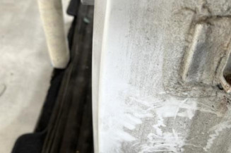 Porte arriere gauche RENAULT CLIO 2 CAMPUS