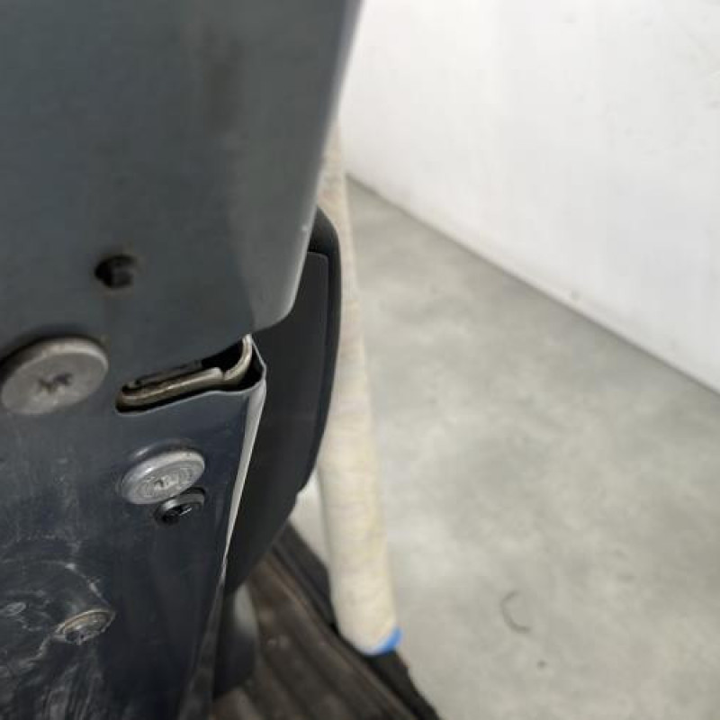 Porte arriere gauche CITROEN C4 PICASSO 1 Photo n°3