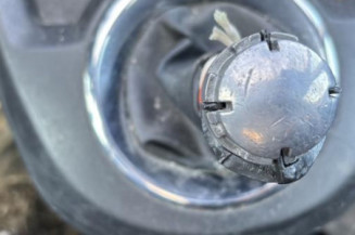 Porte arriere gauche CITROEN C4 PICASSO 1