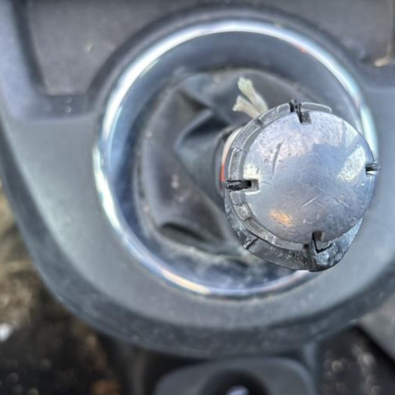 Porte arriere gauche CITROEN C4 PICASSO 1 Photo n°13