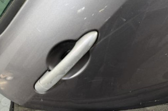 Porte arriere droit RENAULT CLIO 3