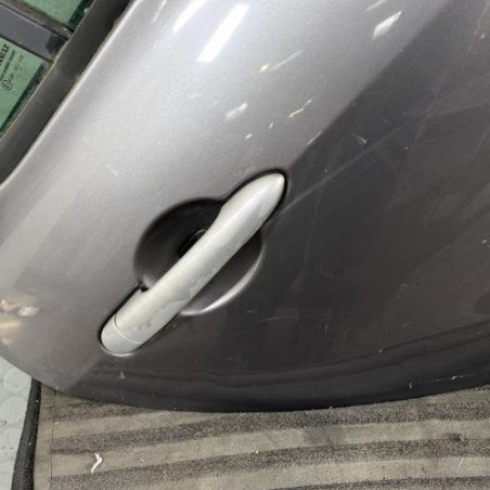Porte arriere droit RENAULT CLIO 3