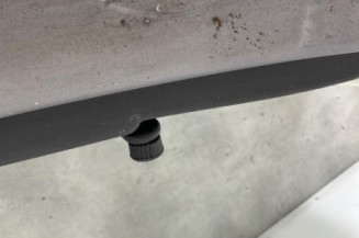 Porte arriere droit RENAULT CLIO 3