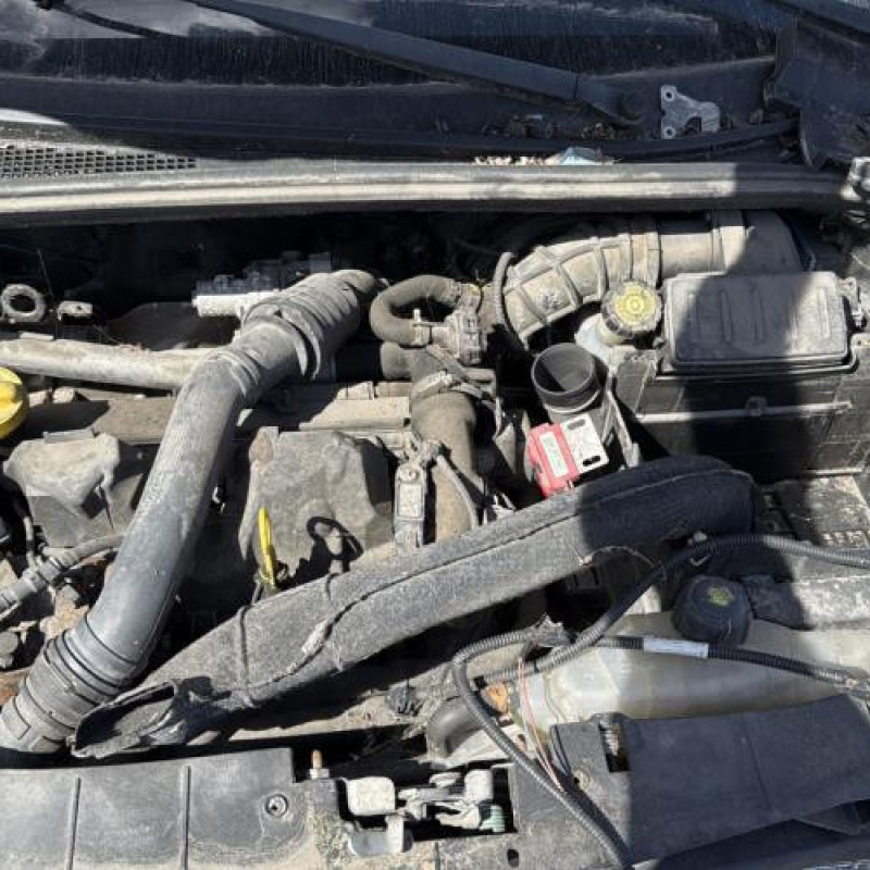 Porte arriere droit RENAULT CLIO 3 Photo n°19