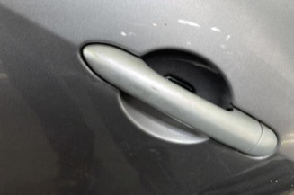 Porte arriere gauche RENAULT CLIO 3