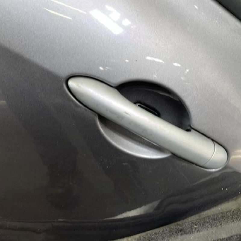 Porte arriere gauche RENAULT CLIO 3 Photo n°2