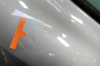 Porte arriere gauche RENAULT CLIO 3