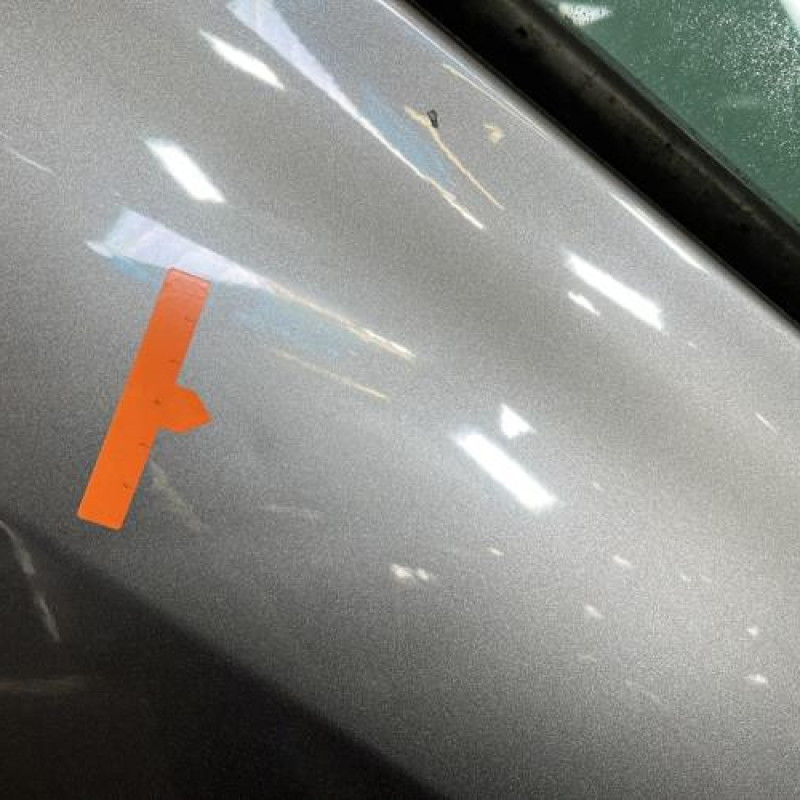 Porte arriere gauche RENAULT CLIO 3 Photo n°3