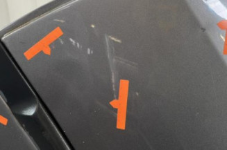 Porte arriere gauche RENAULT CLIO 3