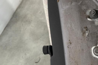 Porte arriere gauche RENAULT CLIO 3