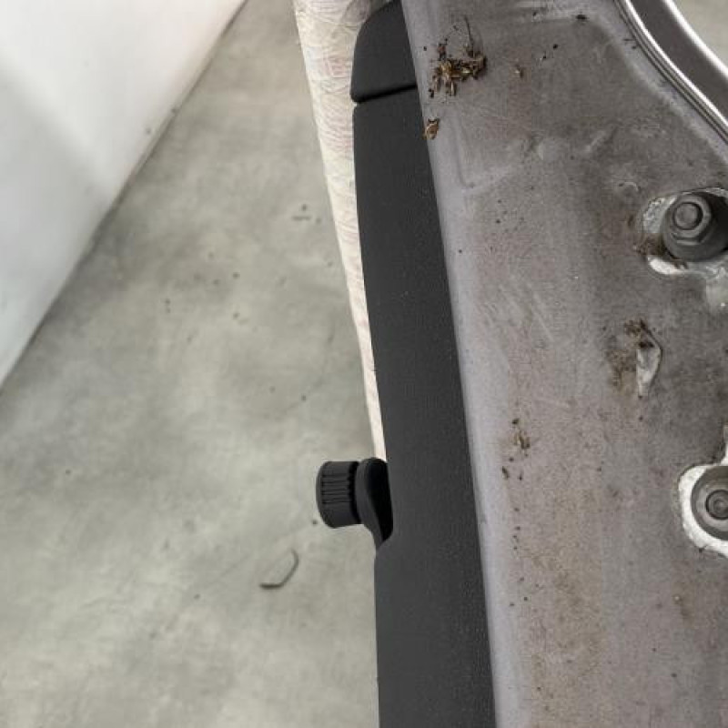 Porte arriere gauche RENAULT CLIO 3 Photo n°5