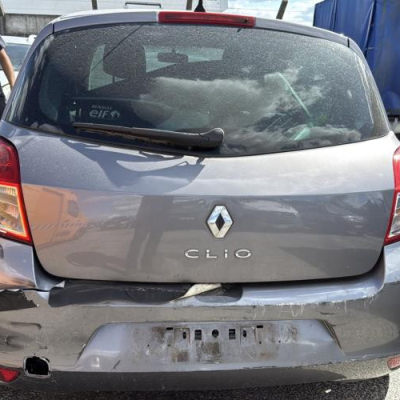 Porte arriere gauche RENAULT CLIO 3 Photo n°12