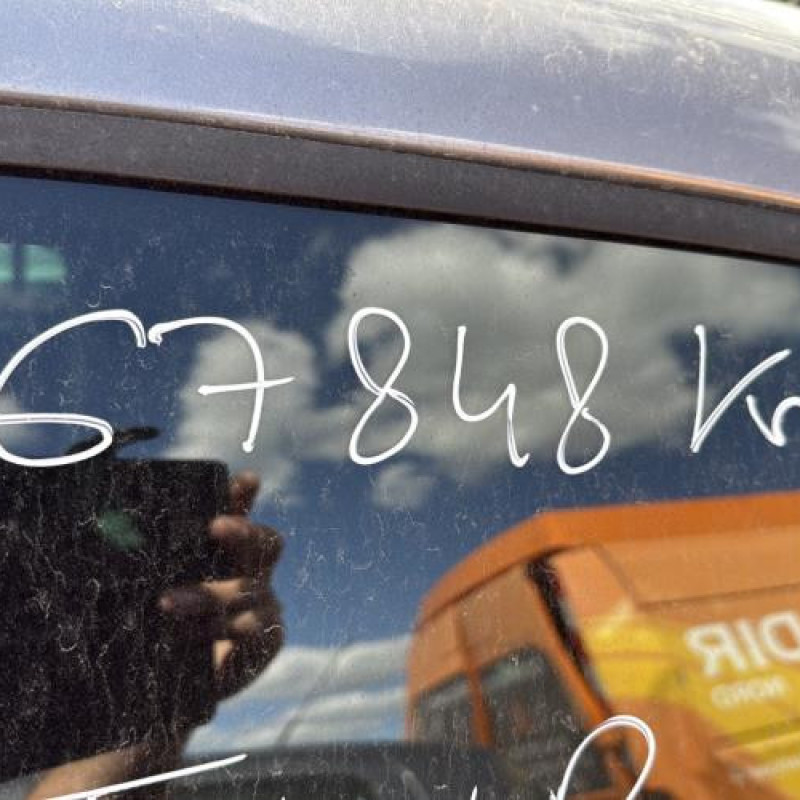 Porte arriere gauche RENAULT CLIO 3 Photo n°16