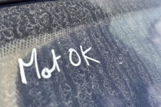 Porte arriere droit CITROEN XSARA PICASSO