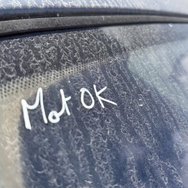 Porte arriere droit CITROEN XSARA PICASSO Photo n°18