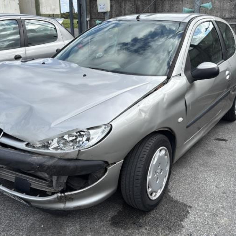 Porte avant droit PEUGEOT 206 Photo n°8