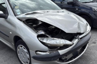 Porte avant droit PEUGEOT 206