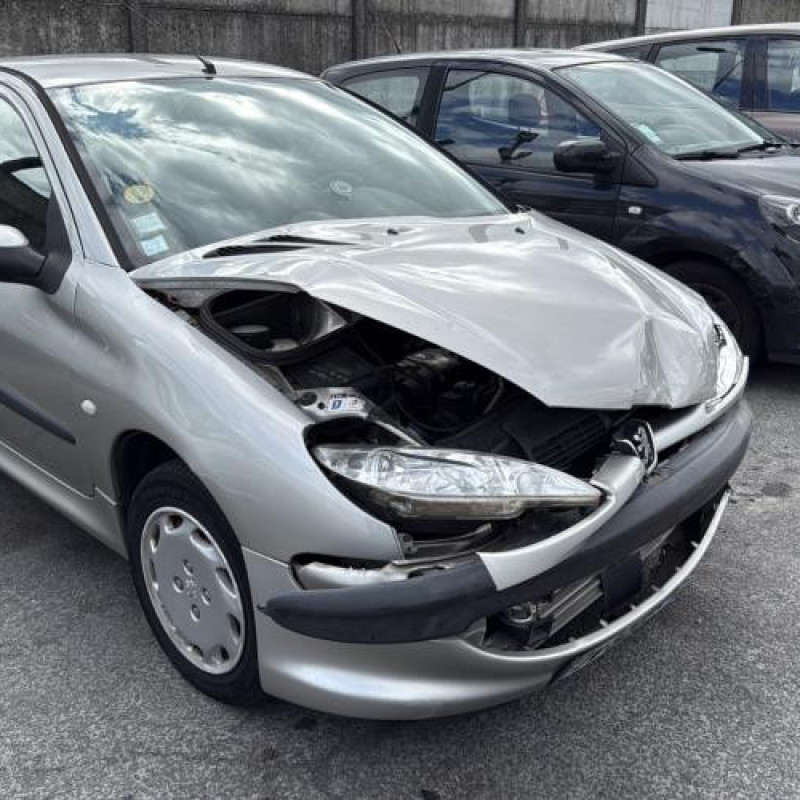 Porte avant droit PEUGEOT 206 Photo n°9
