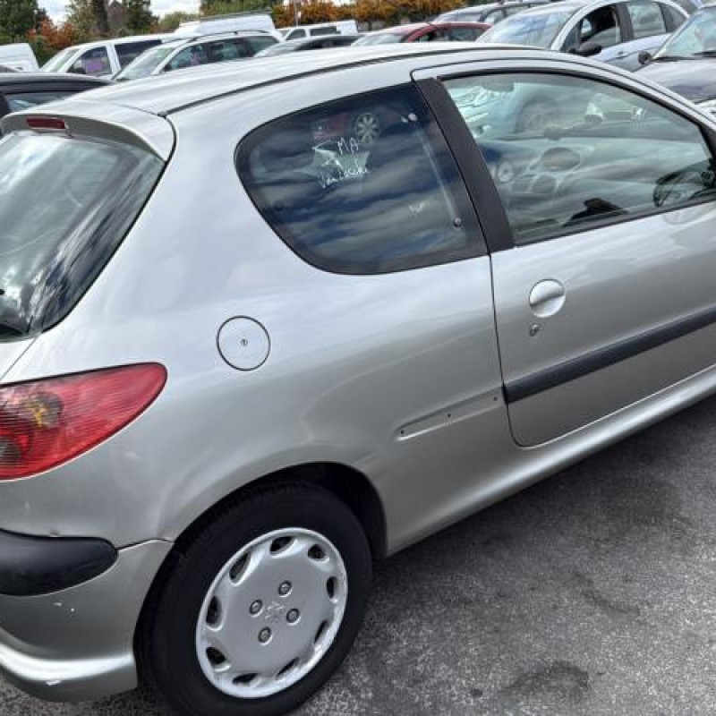 Porte avant droit PEUGEOT 206 Photo n°10