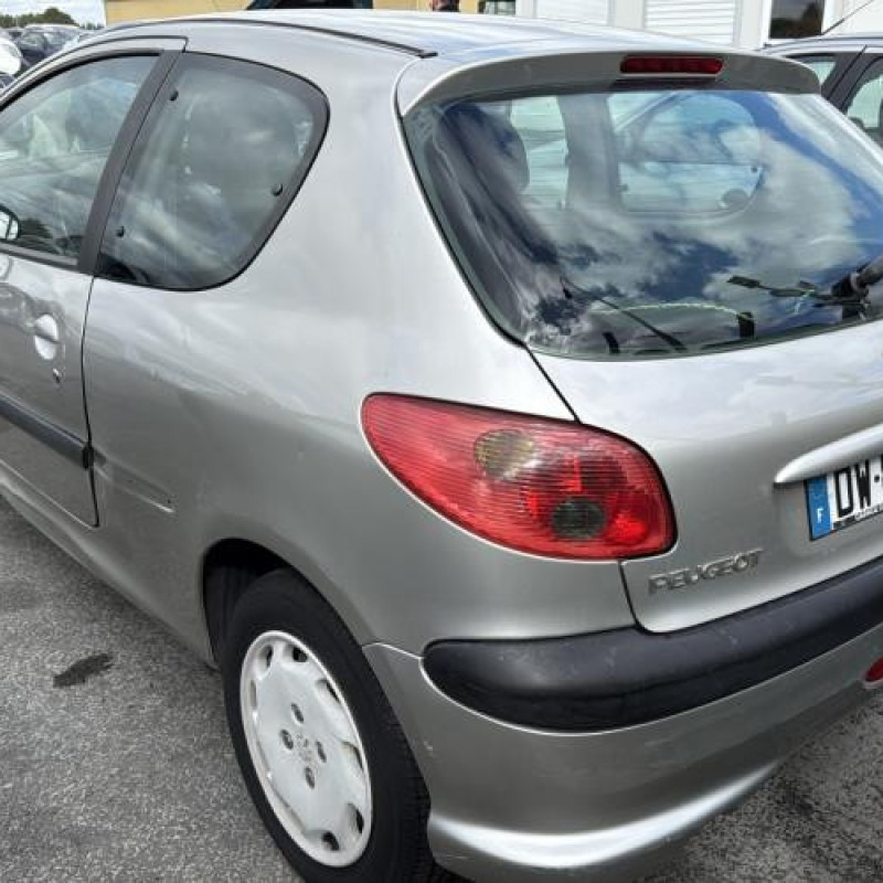 Porte avant droit PEUGEOT 206 Photo n°11