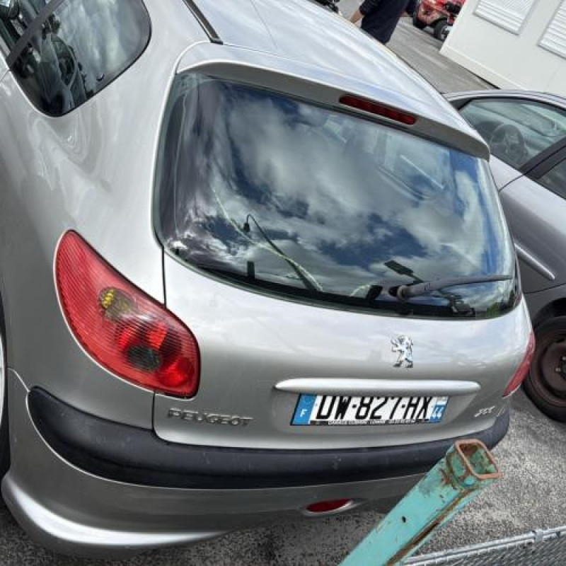 Porte avant droit PEUGEOT 206 Photo n°12