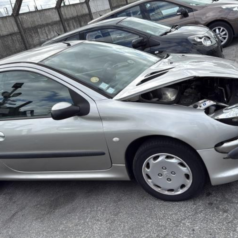 Porte avant droit PEUGEOT 206 Photo n°14