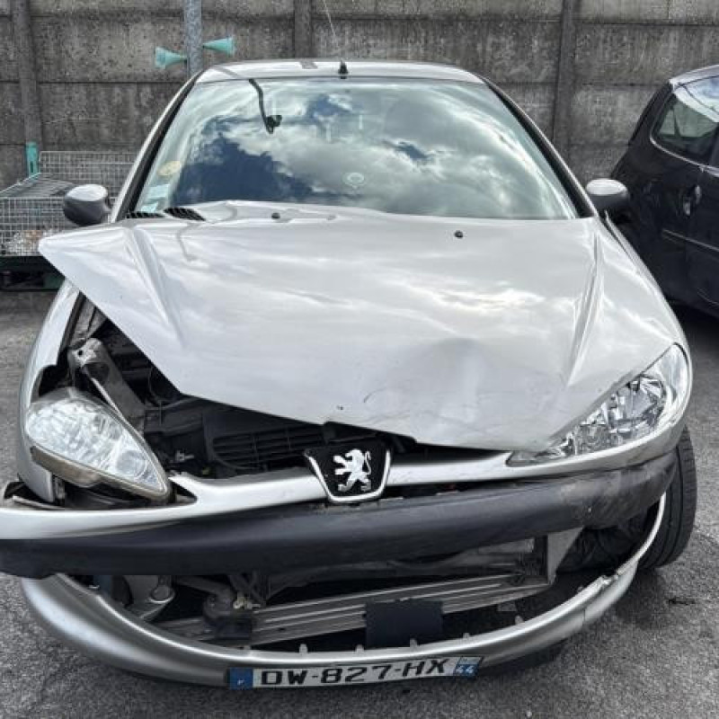 Porte avant droit PEUGEOT 206 Photo n°15