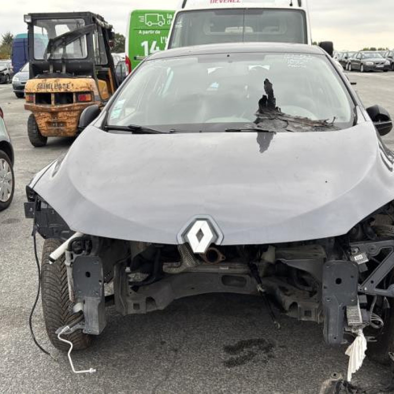 Porte avant droit RENAULT MEGANE 3 Photo n°15
