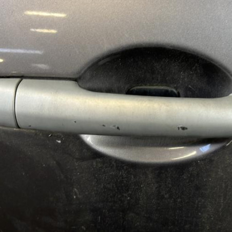 Porte avant droit RENAULT CLIO 3